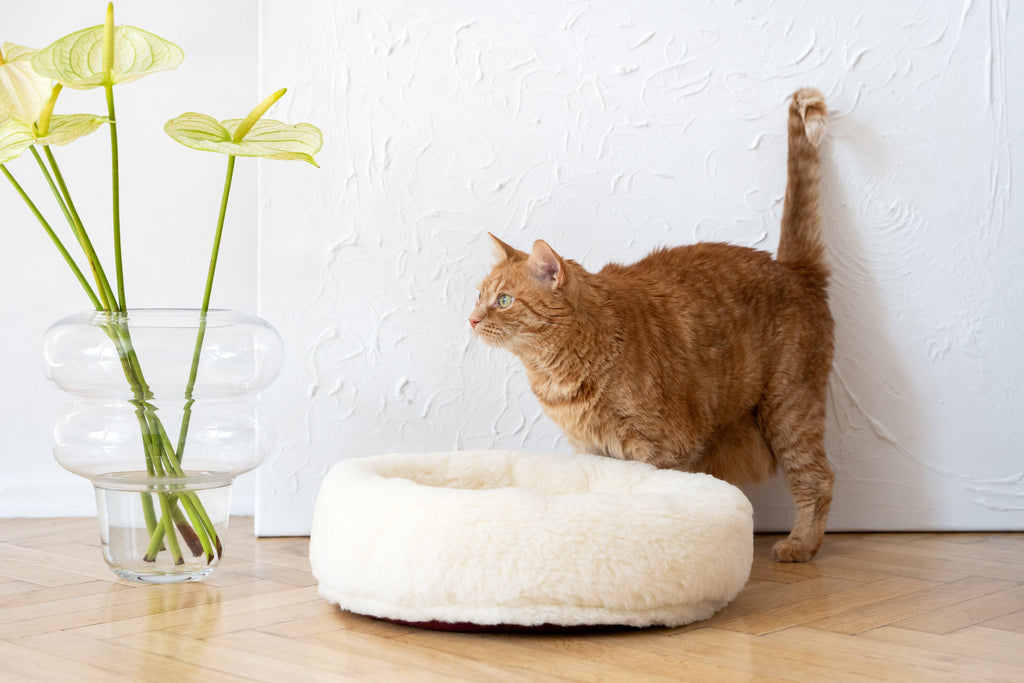 Round Natural Wool Pet Bed - White-3