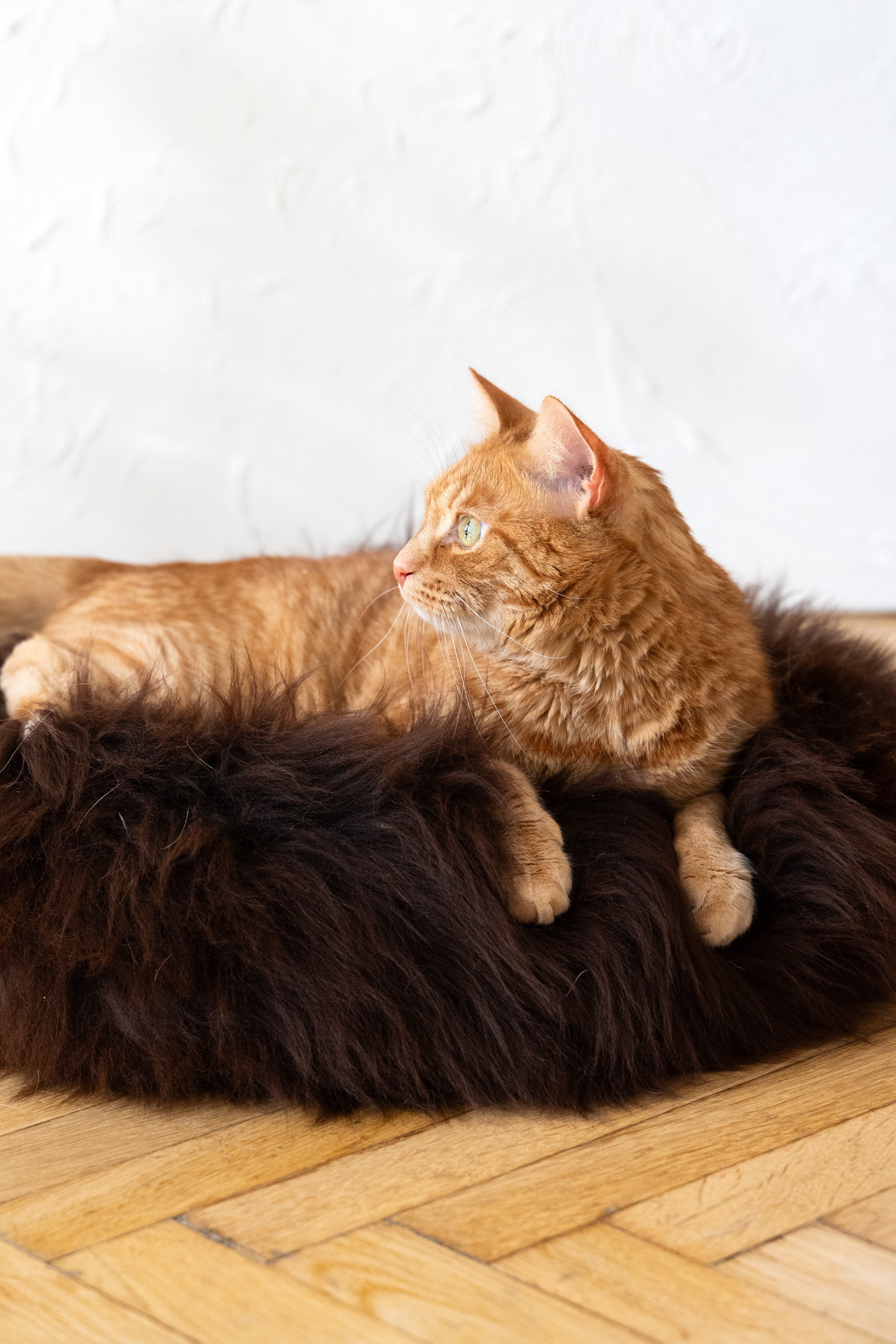 Round Natural Sheepskin Pet Bed - Brown-0